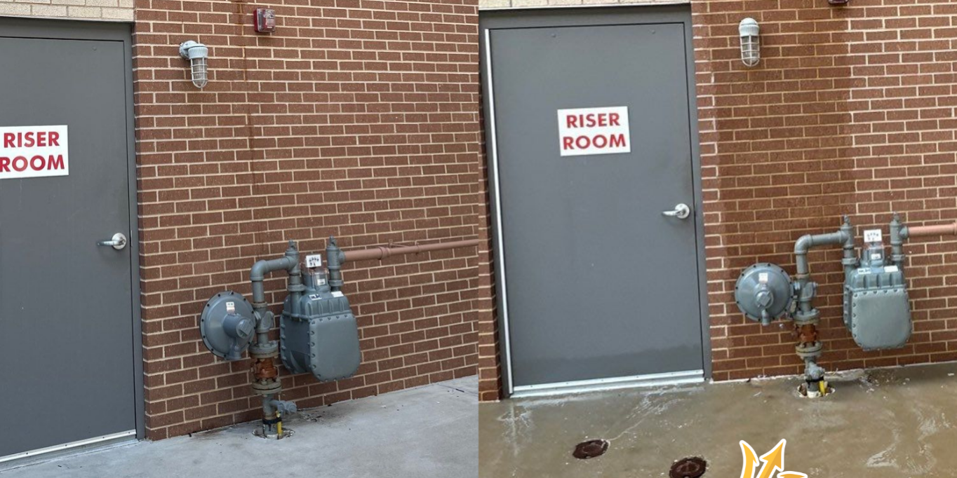 Before and after cleaning