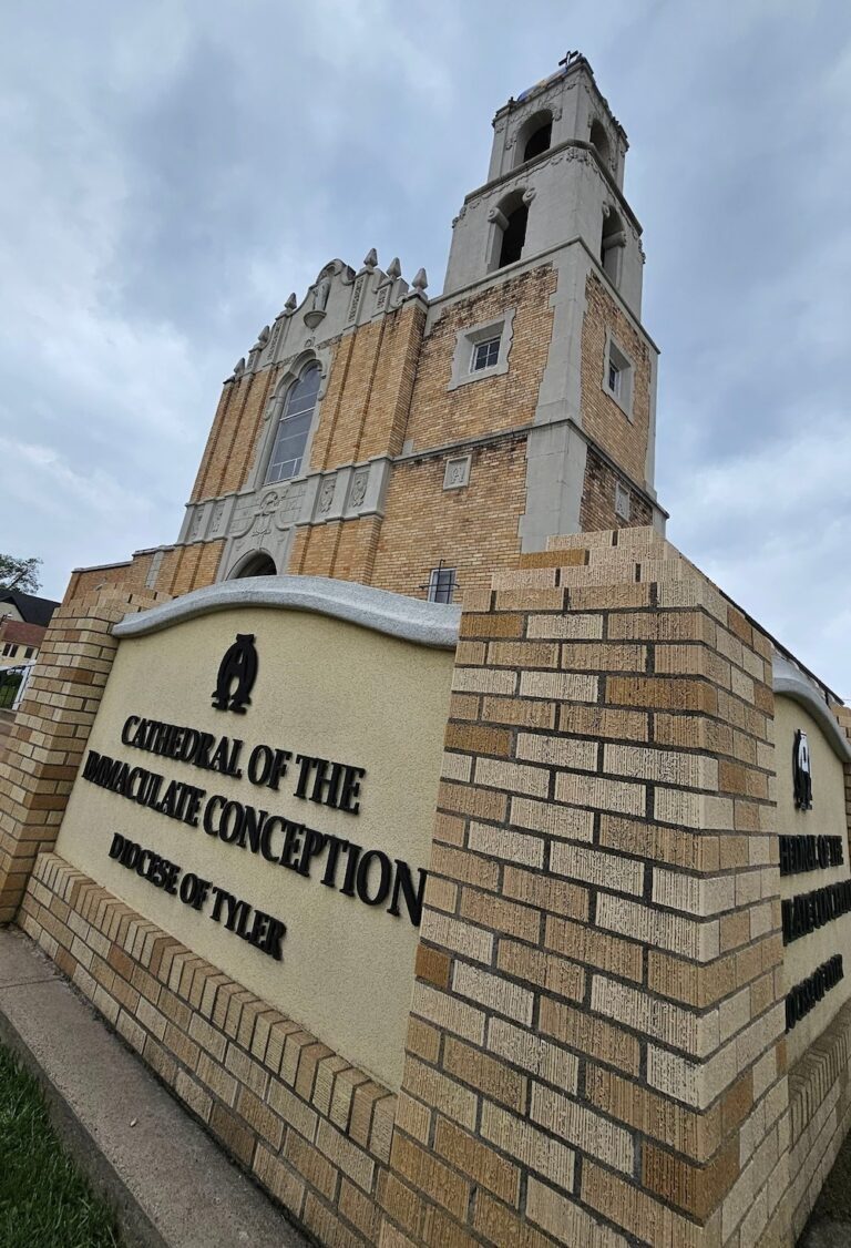 Immaculate Conception