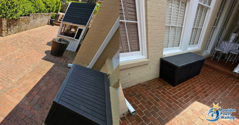 Fall Winter SoftWash