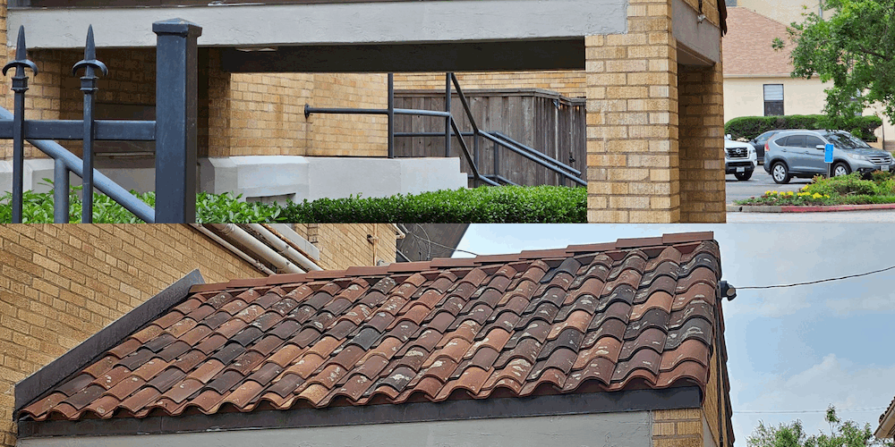 Cathedral of Immaculate Conception