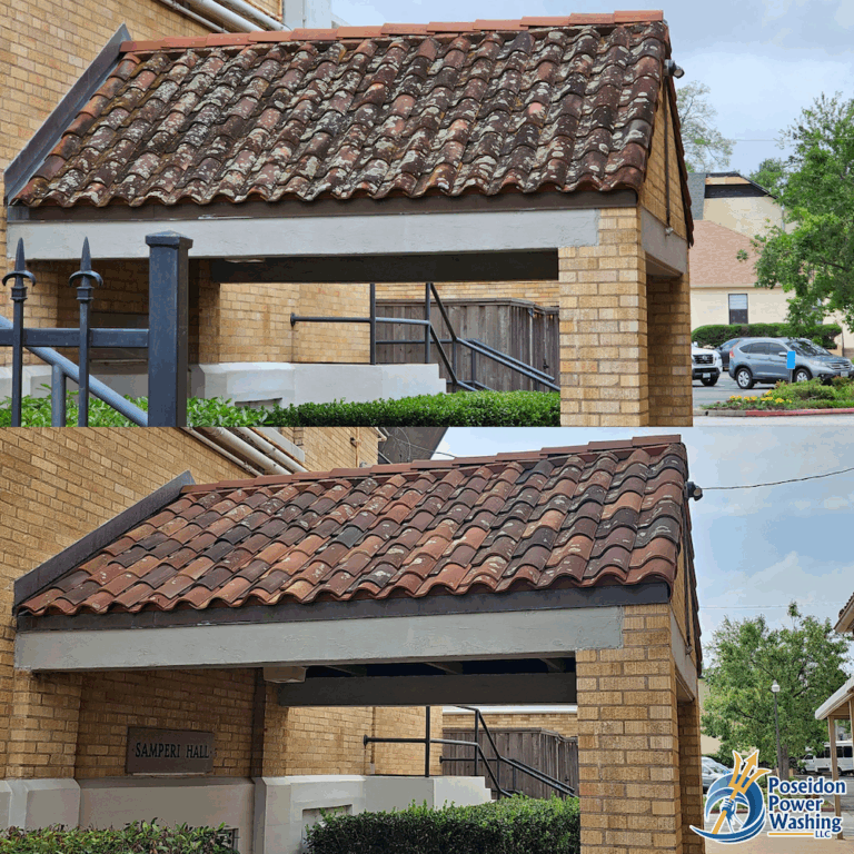 Cathedral of Immaculate Conception