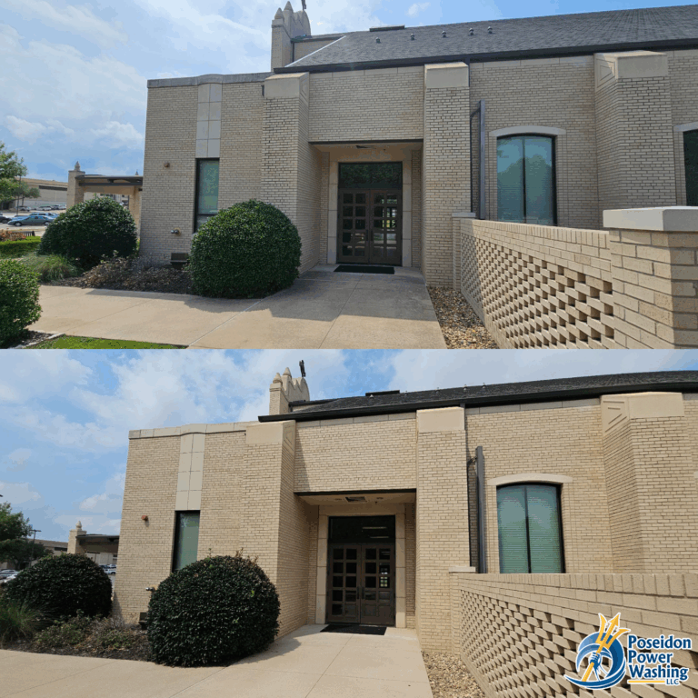 Results of SoftWashing