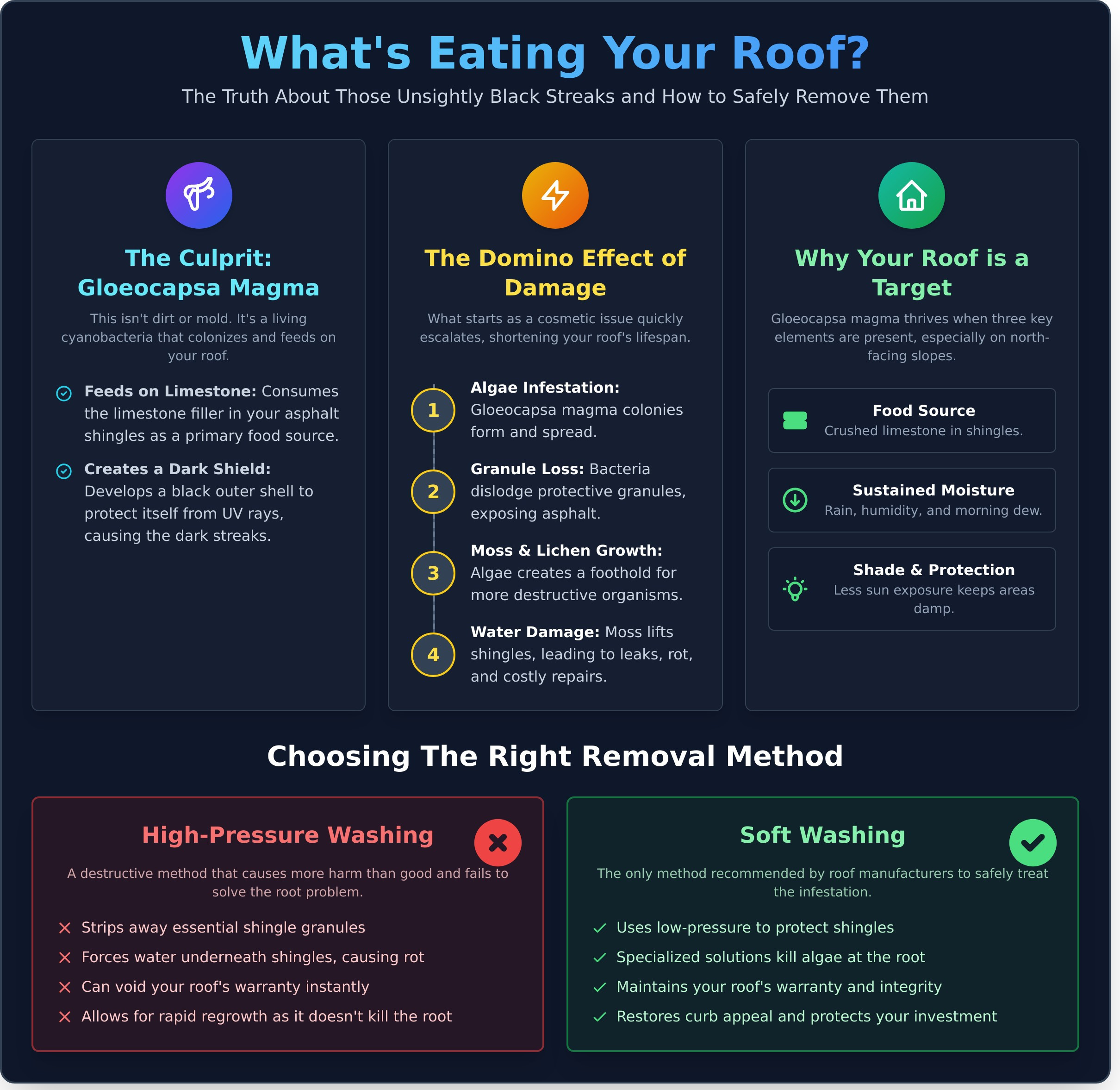 What Is Gloeocapsa Magma? The Truth About Black Roof Stains - Infographic