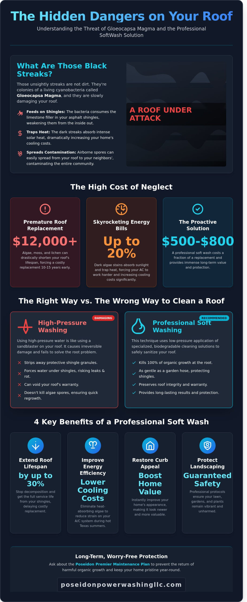 The Top 7 Benefits of Professional Roof Cleaning for East Texas Homes - Infographic