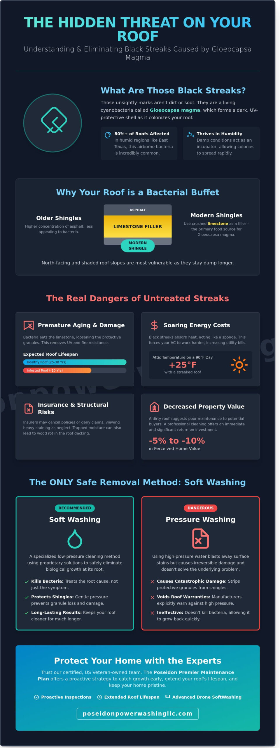 What Causes Black Streaks on Asphalt Shingles? The Truth About Roof Algae - Infographic