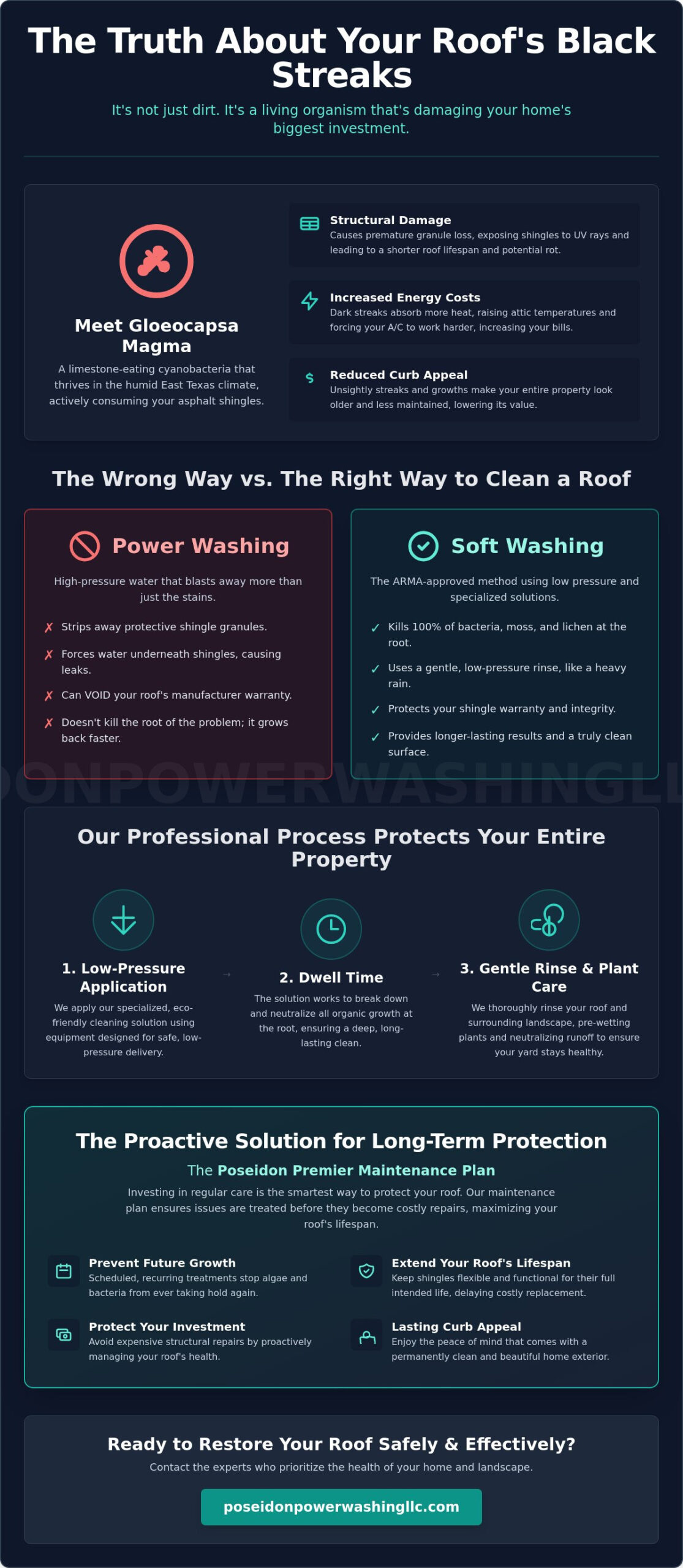 How to Find the Best Roof Cleaners in My Area: An East Texas Guide