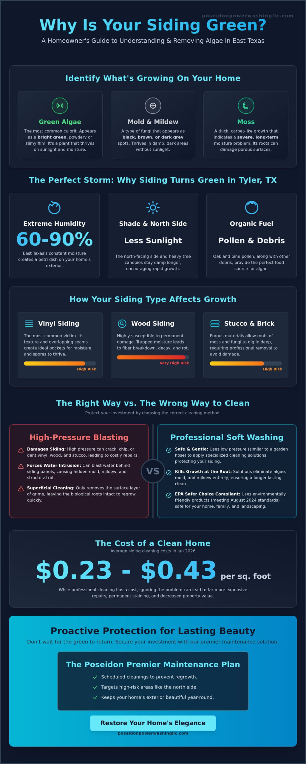 Why Is My Siding Green? Causes, Risks, and Safe Removal Tips - Infographic