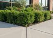 Commercial Concrete Cleaning in Tyler, TX: A Business Owner’s Guide
