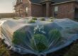 Exterior Cleaning for New Construction: The Complete Guide to Post-Build Restoration