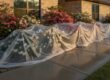 How to Avoid the Embarrassment of a Dirty House: Restoring Your Curb Appeal in Tyler, TX