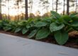Expert Local Concrete Cleaning Service in Tyler, TX: Restore Your Property in 2026