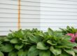 How to Remove Rust Stains from Vinyl Siding: The Safe, Scientific Guide