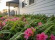 The Ultimate Stress-Free Exterior Cleaning Service: A Guide for Tyler Homeowners