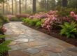 Professional Paver Patio and Walkway Cleaning in Tyler, TX