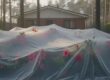 7 Critical Questions to Ask a Roof Cleaning Service Before You Hire