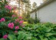 Expert Mildew Removal from House Exterior: The Safe Soft Wash Solution for 2026
