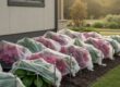 How to Avoid the Embarrassment of a Dirty House Exterior in 2026