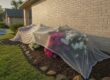 Local Exterior Cleaning Experts in Tyler: Protecting Your Property’s Value