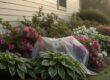 Pressure Washing Prices in East Texas 2026: A Property Owner’s Guide