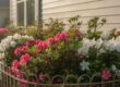 Soft Washing Cost Per Square Foot: Your 2026 Pricing & Value Guide